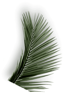 Установка современных жалюзи в