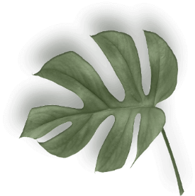 установка современных жалюзи в Минске